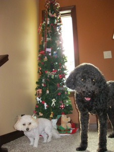 Lucy and Charlie pose beside the dog tree on the upper foyer level.  I have been collecting dog ornaments for years.  This tree is just fun!